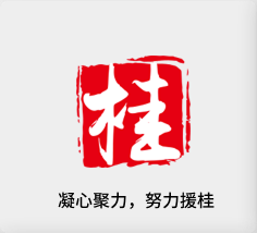 聚焦产业，努力援桂